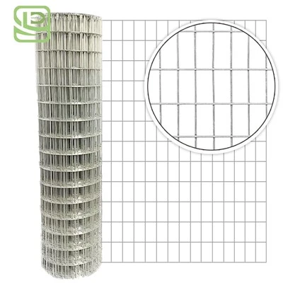 Electro Galvanized wire mesh